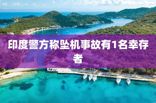 印度警方称坠机事故有1名幸存者