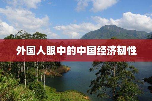 外国人眼中的中国经济韧性
