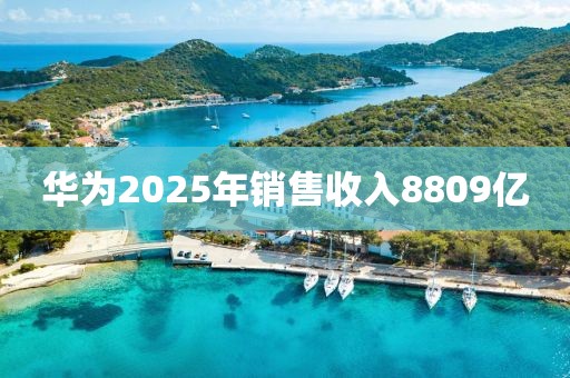华为2025年销售收入8809亿