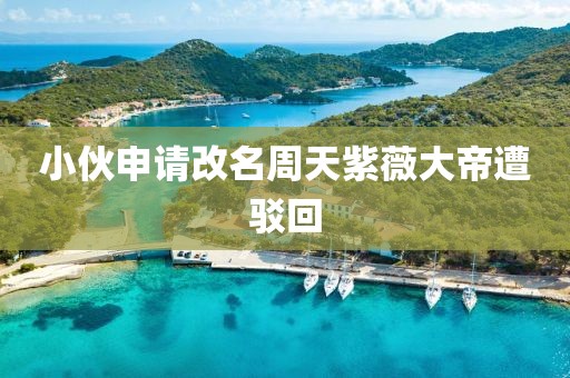 小伙申请改名周天紫薇大帝遭驳回