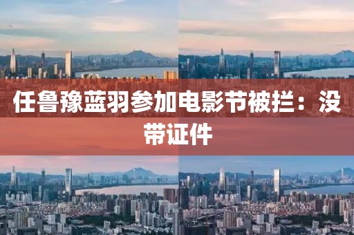 任鲁豫蓝羽参加电影节被拦：没带证件