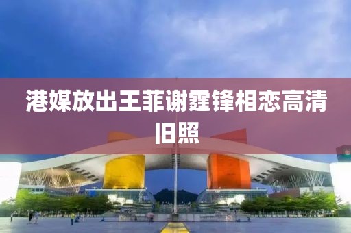 港媒放出王菲谢霆锋相恋高清旧照