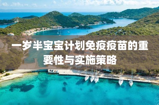 计划软件支持离线使用吗？