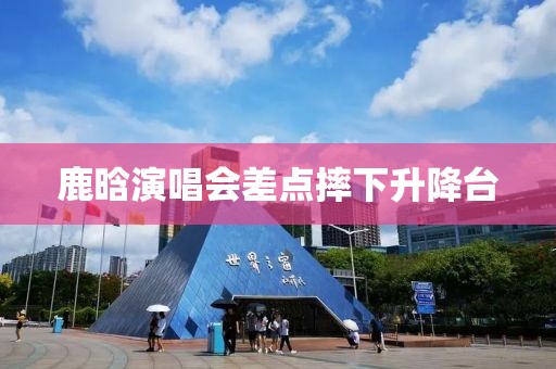 鹿晗演唱会差点摔下升降台