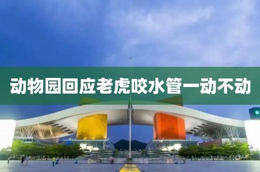 动物园回应老虎咬水管一动不动