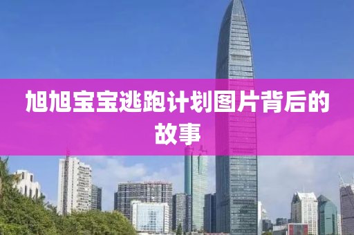 哪些功能让这款计划软件成为市场最热？