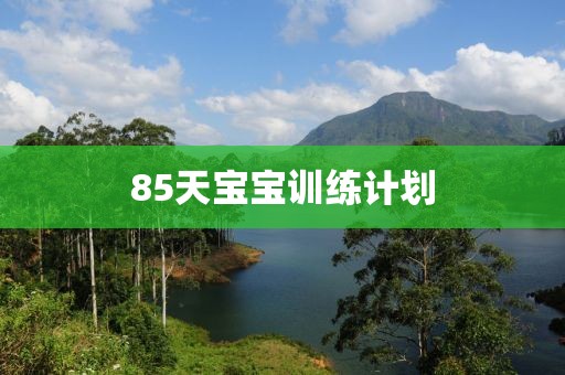 如何通过计划软件提升日常工作效率？