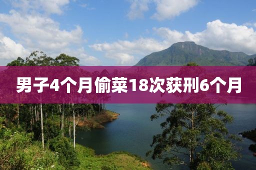 男子4个月偷菜18次获刑6个月