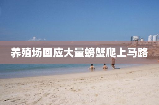 养殖场回应大量螃蟹爬上马路