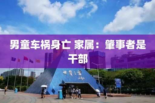 男童车祸身亡 家属：肇事者是干部