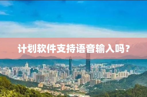 计划软件支持语音输入吗？