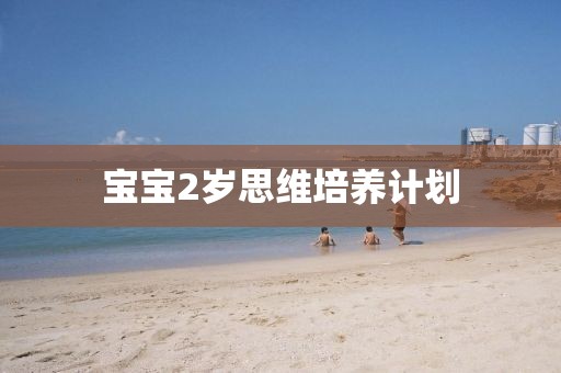 叶童被粉丝拽下车