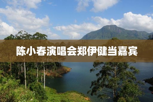 陈小春演唱会郑伊健当嘉宾
