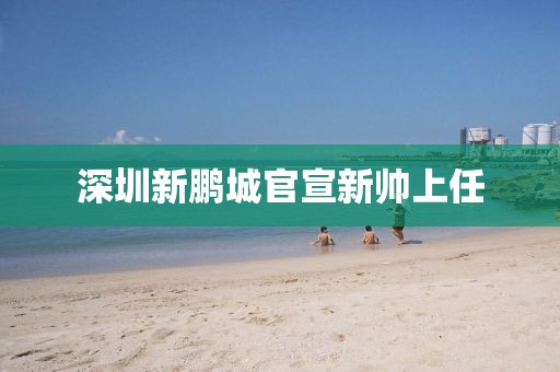 深圳新鹏城官宣新帅上任