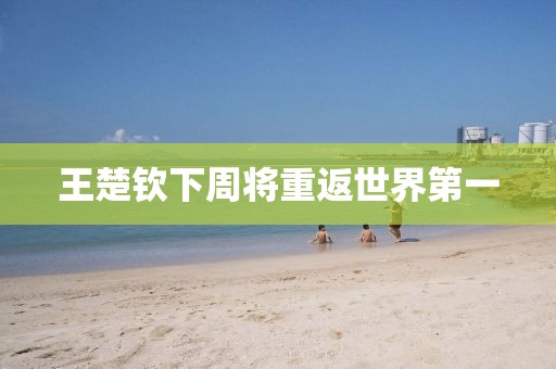 王楚钦下周将重返世界第一