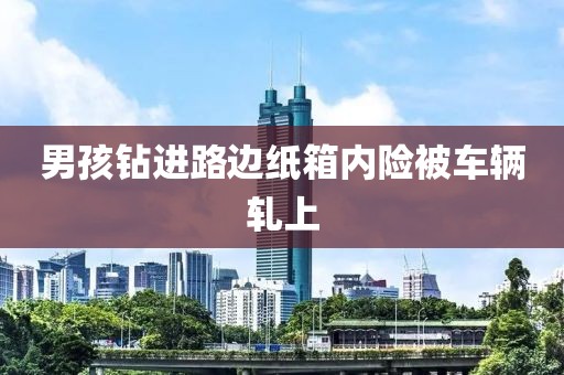 男孩钻进路边纸箱内险被车辆轧上