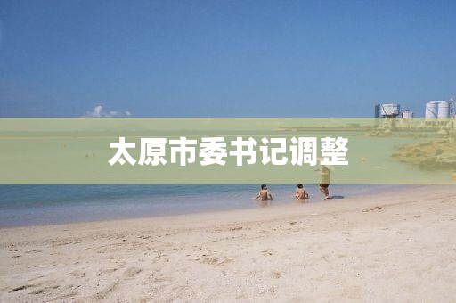 太原市委书记调整