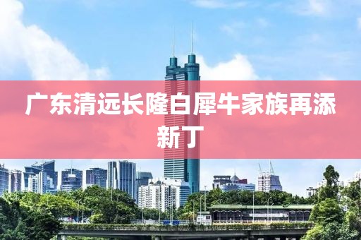 广东清远长隆白犀牛家族再添新丁