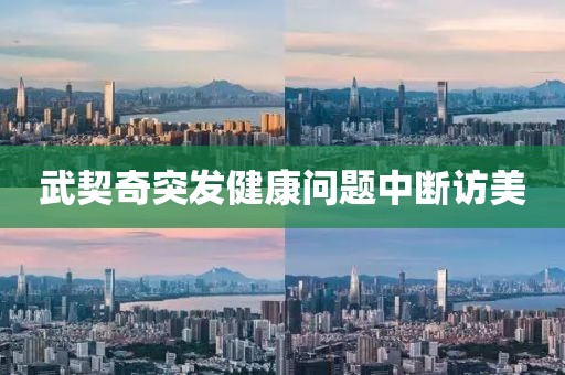 武契奇突发健康问题中断访美