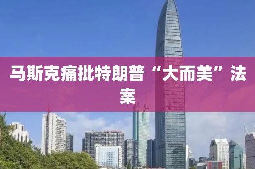 马斯克痛批特朗普“大而美”法案