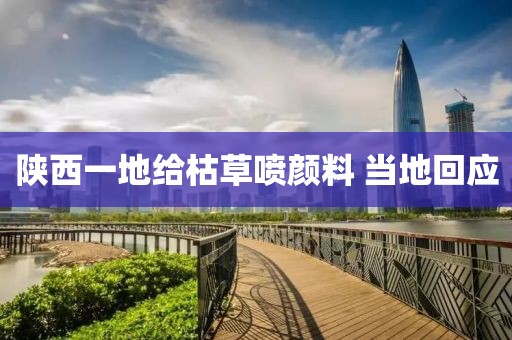 陕西一地给枯草喷颜料 当地回应