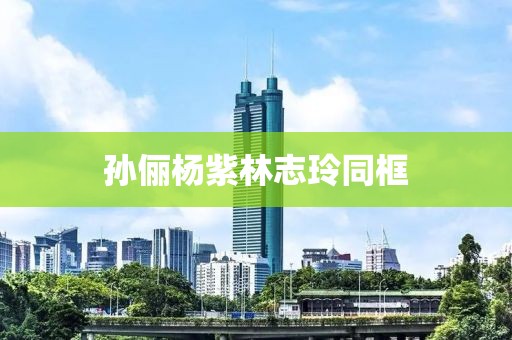 孙俪杨紫林志玲同框
