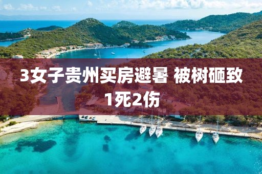 3女子贵州买房避暑 被树砸致1死2伤