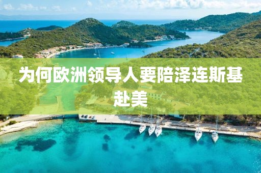 为何欧洲领导人要陪泽连斯基赴美
