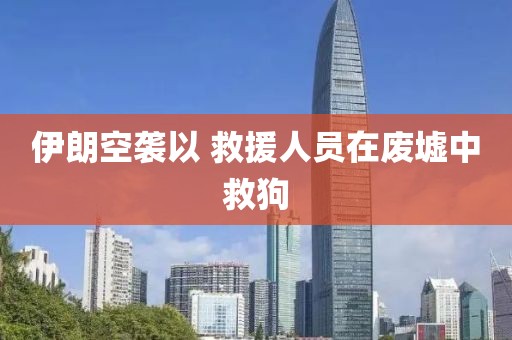 伊朗空袭以 救援人员在废墟中救狗