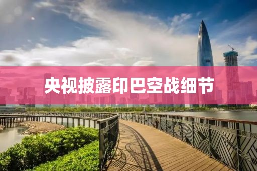 央视披露印巴空战细节
