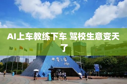 AI上车教练下车 驾校生意变天了
