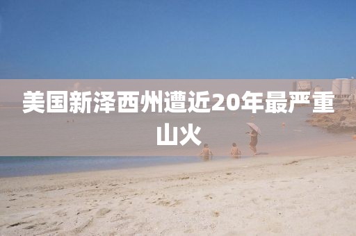 美国新泽西州遭近20年最严重山火