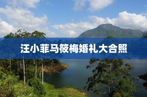 汪小菲马筱梅婚礼大合照