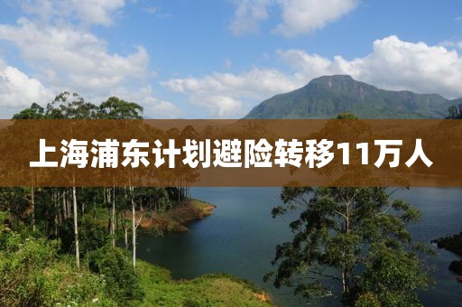 上海浦东计划避险转移11万人