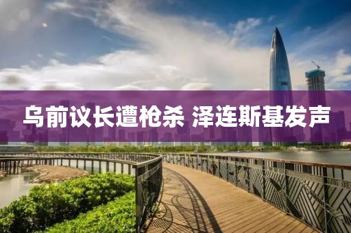 乌前议长遭枪杀 泽连斯基发声