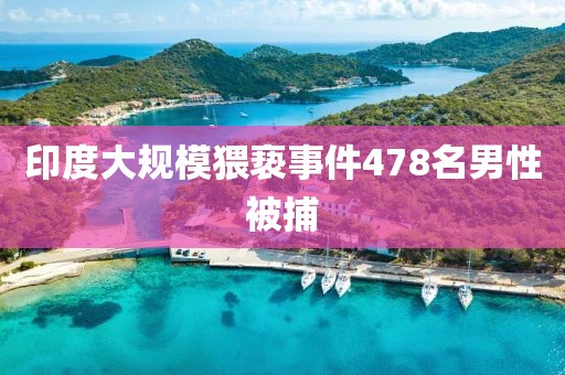 印度大规模猥亵事件478名男性被捕