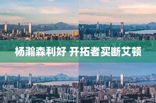 杨瀚森利好 开拓者买断艾顿