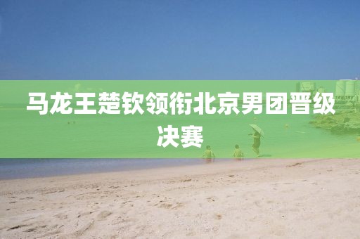 马龙王楚钦领衔北京男团晋级决赛