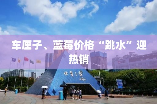 车厘子、蓝莓价格“跳水”迎热销
