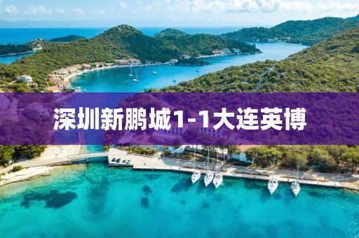深圳新鹏城1-1大连英博