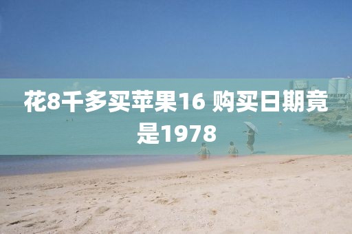 花8千多买苹果16 购买日期竟是1978