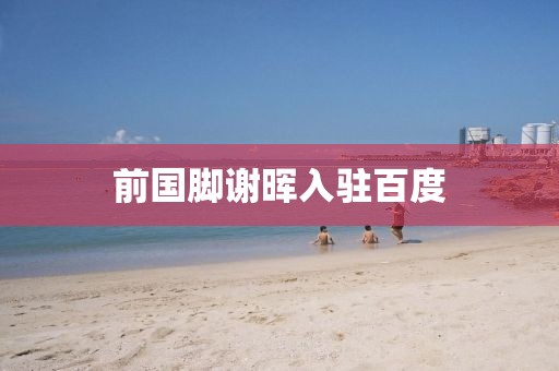 前国脚谢晖入驻百度