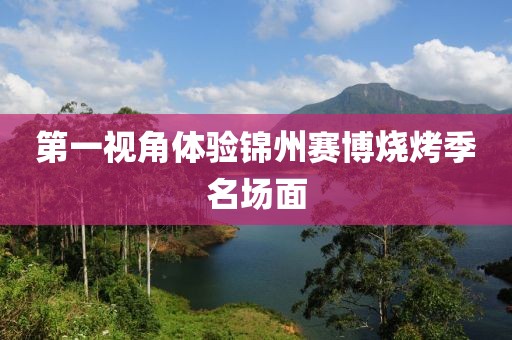 第一视角体验锦州赛博烧烤季名场面