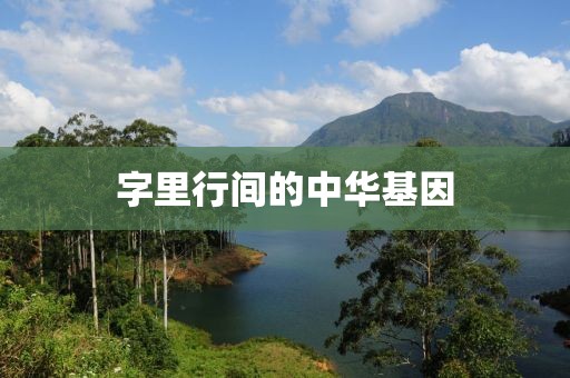 字里行间的中华基因
