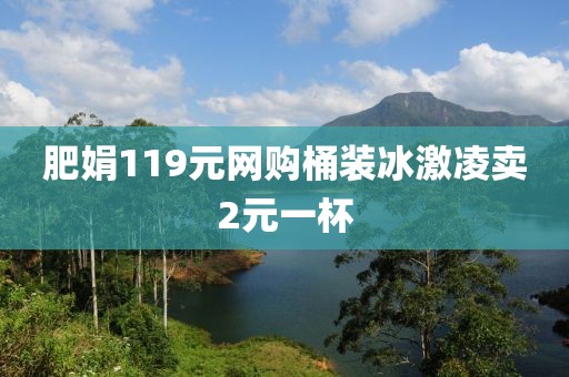 肥娟119元网购桶装冰激凌卖2元一杯