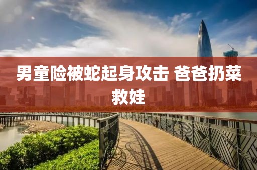 男童险被蛇起身攻击 爸爸扔菜救娃