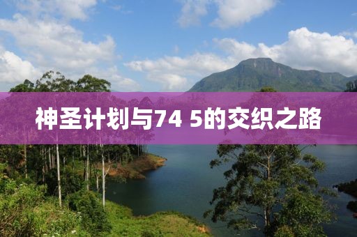 跨境电商团队计划软件协同流程