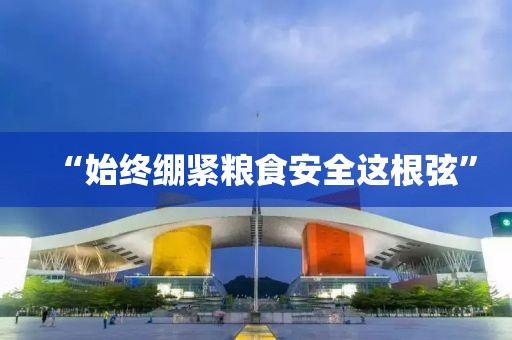 “始终绷紧粮食安全这根弦”