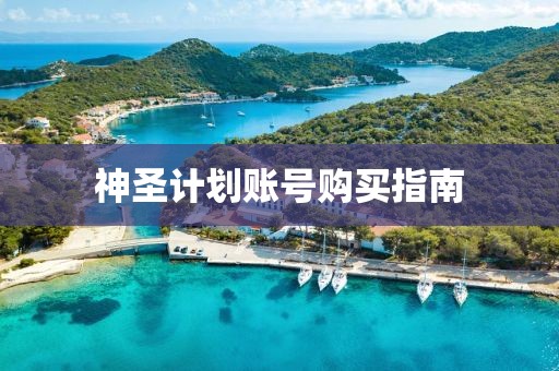这个词在美国“火”了