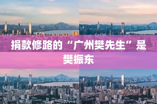 捐款修路的“广州樊先生”是樊振东